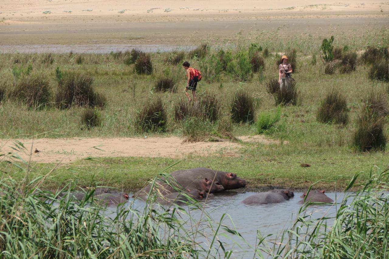 Lodge Afrique Saint Lucia Estuary Zewnętrze zdjęcie